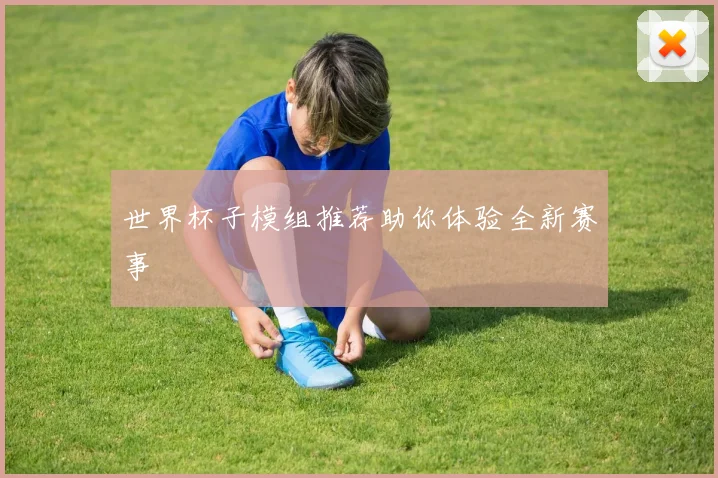 世界杯子模组推荐助你体验全新赛事