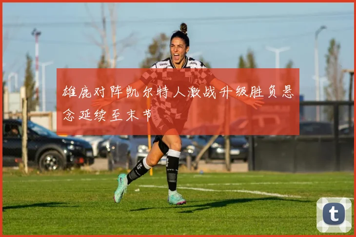 雄鹿对阵凯尔特人激战升级胜负悬念延续至末节