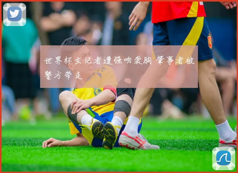 世界杯女记者遭强吻袭胸 肇事者被警方带走