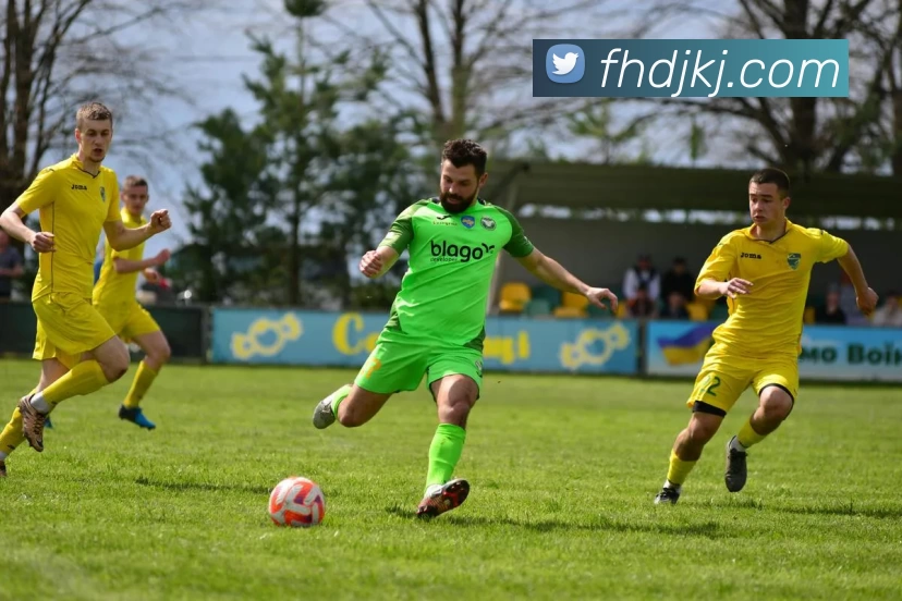 乐鱼网页版官网发展历程